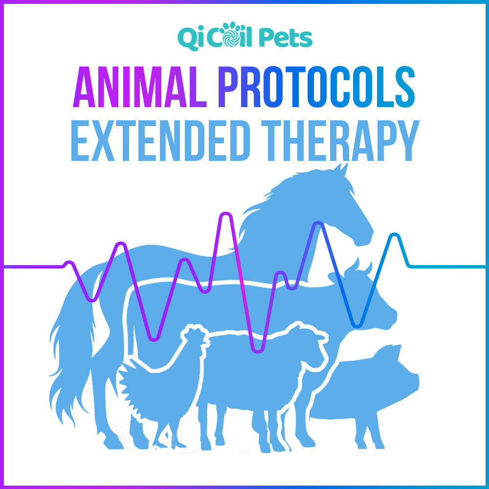 Complete Protocol Bundle - Approved By Veterinarians