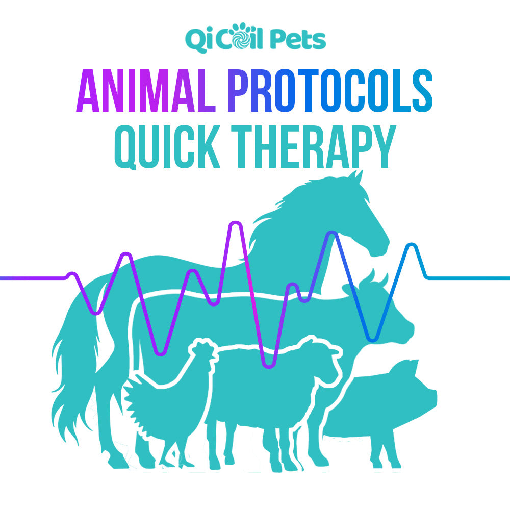 Complete Protocol Bundle - Approved By Veterinarians