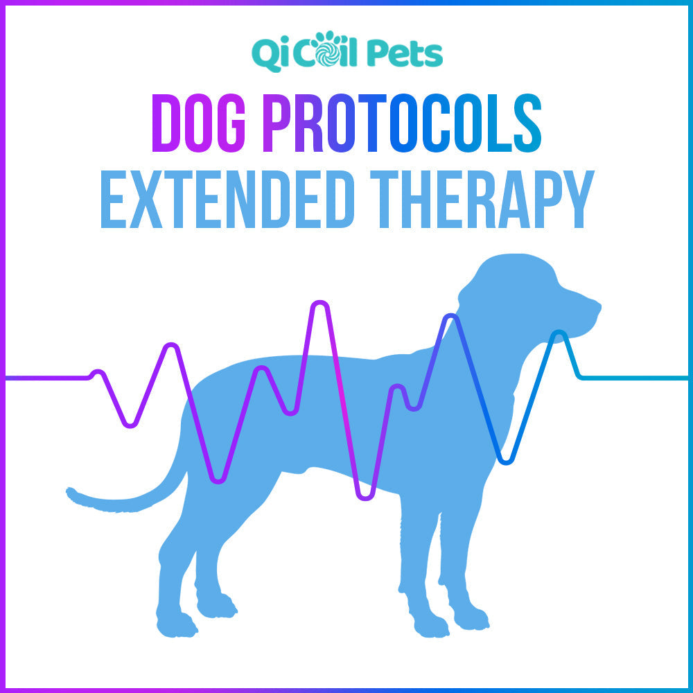 Top 29 Dog Protocols - Approved By Veterinarians