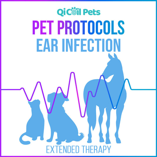 Ear Infection - Extended Protocol