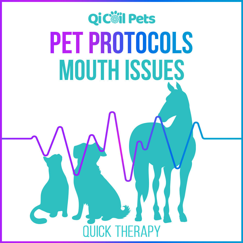 Mouth Issues - Quick Protocol