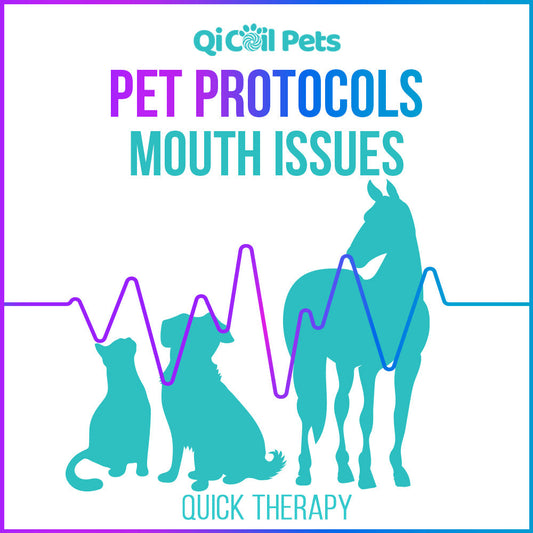 Mouth Issues - Quick Protocol