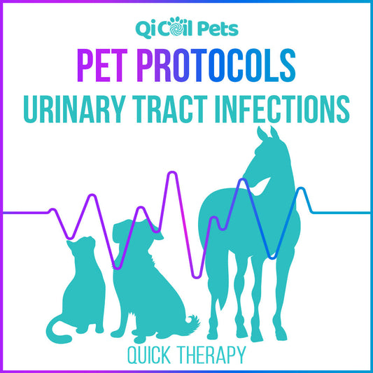 Urinary Tract Infection (UTI) - Quick Protocol