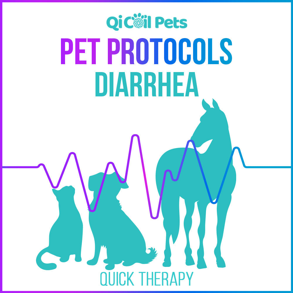 Diarrhea - Quick Protocol