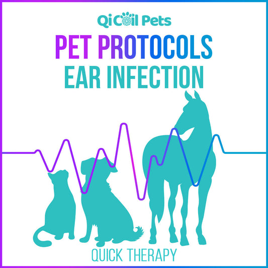 Ear Infection - Quick Protocol