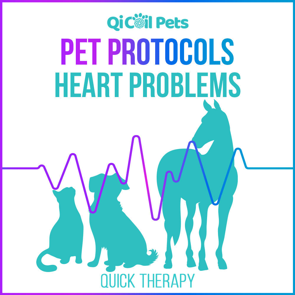 Heart Problems - Quick Protocol