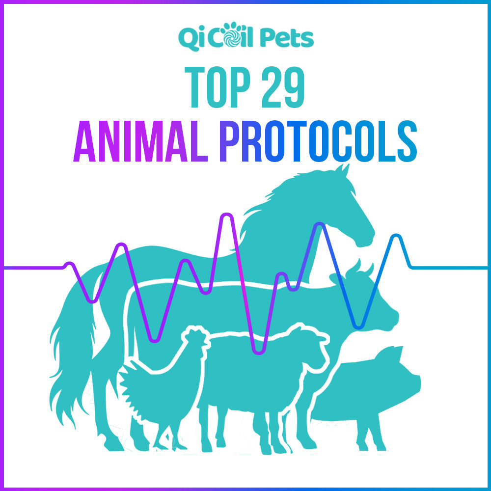 Complete Protocol Bundle - Approved By Veterinarians