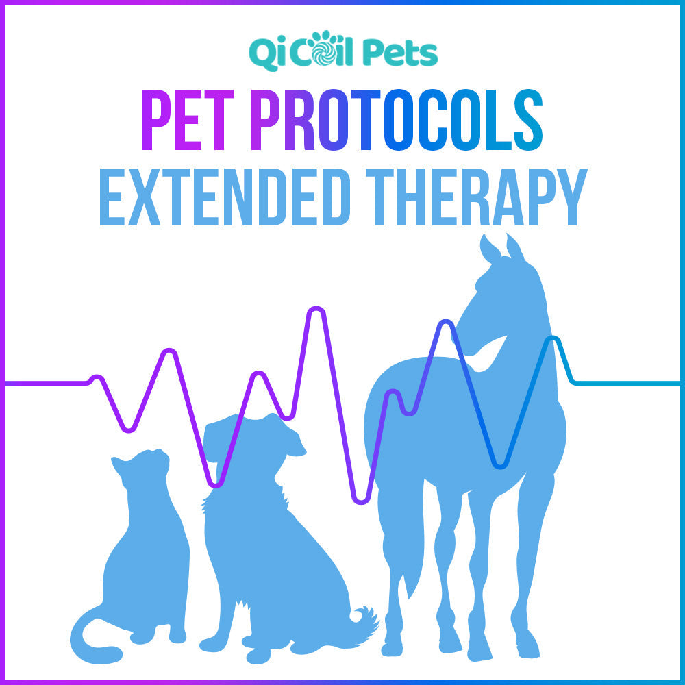 Top 27 Pet Protocols - Approved By Veterinarians