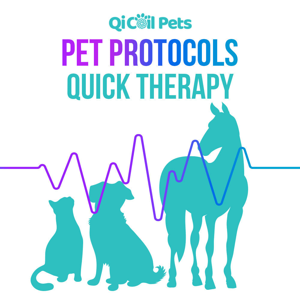 Top 27 Pet Protocols - Approved By Veterinarians