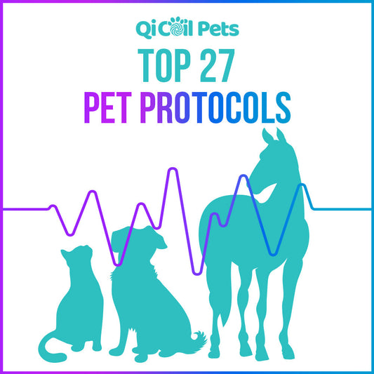 Top 27 Pet Protocols - Approved By Veterinarians